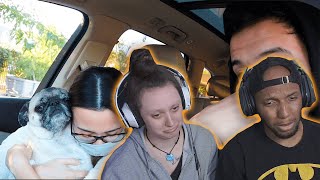 Our Puppy’s First Surgery In Years - Aaron Burriss (Reaction)