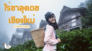 2วัน1 คืน ใช้ชีวิตที่ไร่ชาลุงเดช สถานที่แห่งความคิดถึงเมื่อ 5 ปีก่อน :)