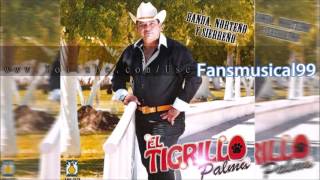 Mejores corridos chingones Tigrillo palma mix