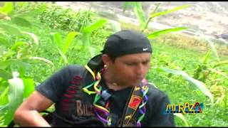 Milder Oré - Palomita Mensajera (No Hay Secretos En El Amor) Carnavales