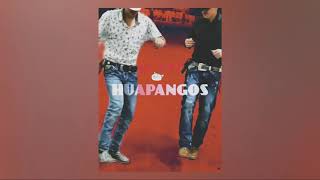 Huapangos con tribal mix????????