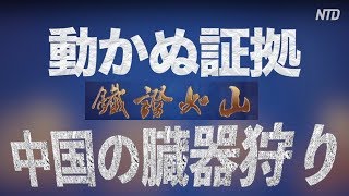 中国の臓器狩り：動かぬ証拠（日本語吹き替え版） 鐵證如山　ドキュメンタリー
