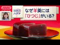 ようかんに隠れたナゾ　“羊羹”の元はヒツジのスープ？【スーパーJチャンネル】(2024年4月19日)