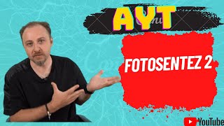 2024 AYT Biyoloji  FOTOSENTEZ 2 2024 AYT Biyoloji  FOTOSENTEZ 2