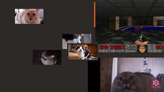 Kittens &amp; Cats Meowing DOOM -  E1M1 (AT DOOM&#039;S GATE) (A cappella)