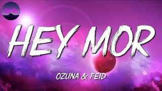 ????Reggaeton || Ozuna - Hey Mor || Sech,Bad Bunny,Manuel Turizo (Letra\Lyrics)