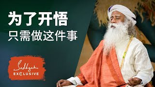 为了开悟，你只需要做这一件事｜Sadhguru 萨古鲁
