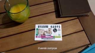 Sueldazo del Fin de Semana 300.000€ + 5.000€ al mes durante 20 años